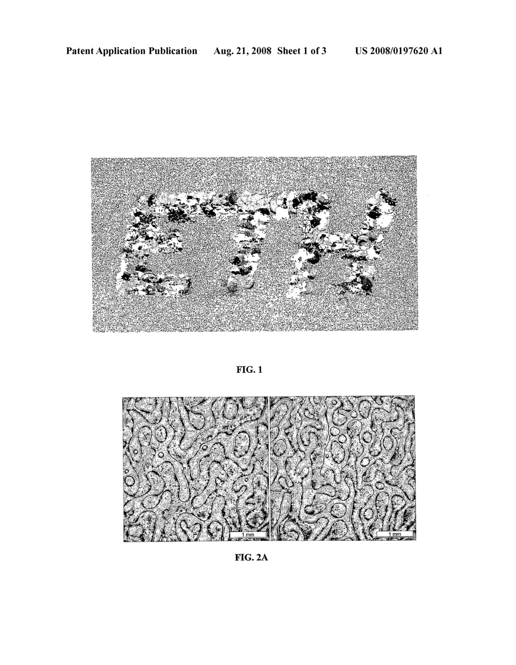 Unique Label For Indentification Or Security System - diagram, schematic, and image 02