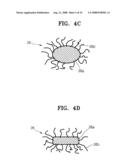 ACTIVE REFLECTIVE POLARIZER, LIQUID CRYSTAL DISPLAY EMPLOYING THE SAME AND METHOD FOR THE SAME diagram and image