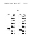 Conformation specific antibodies that bind trefoil factors and methods of treating cancers and proliferation disorders using same diagram and image