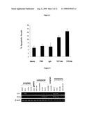 Conformation specific antibodies that bind trefoil factors and methods of treating cancers and proliferation disorders using same diagram and image