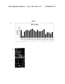 Conformation specific antibodies that bind trefoil factors and methods of treating cancers and proliferation disorders using same diagram and image