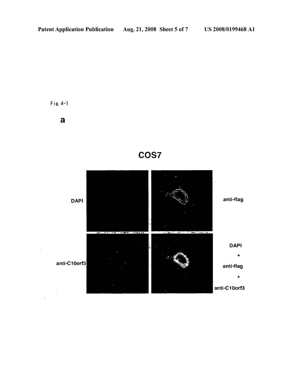 Method For Diagnosing Colorectal Cancers - diagram, schematic, and image 06