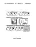 Siv and Hiv Vaccination Using Rhcmv- and Hcmv-Based Vaccine Vectors diagram and image