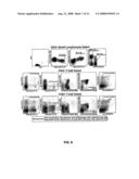 Siv and Hiv Vaccination Using Rhcmv- and Hcmv-Based Vaccine Vectors diagram and image