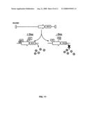 Siv and Hiv Vaccination Using Rhcmv- and Hcmv-Based Vaccine Vectors diagram and image