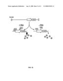 Siv and Hiv Vaccination Using Rhcmv- and Hcmv-Based Vaccine Vectors diagram and image