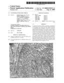 NANOPARTICLE DELIVERY VEHICLE diagram and image