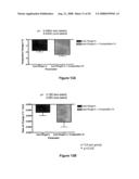 LIQUID CHALCOGENIDE COMPOSITIONS AND METHODS OF MANUFACTURING AND USING THE SAME diagram and image