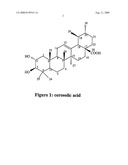 Pharmaceutically Active Extracts of Vitex Leucoxylon, a Process of Extracting the Same and a Method of Treating Diabetes and Inflammatory Diseases Therewith diagram and image