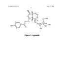 Pharmaceutically Active Extracts of Vitex Leucoxylon, a Process of Extracting the Same and a Method of Treating Diabetes and Inflammatory Diseases Therewith diagram and image