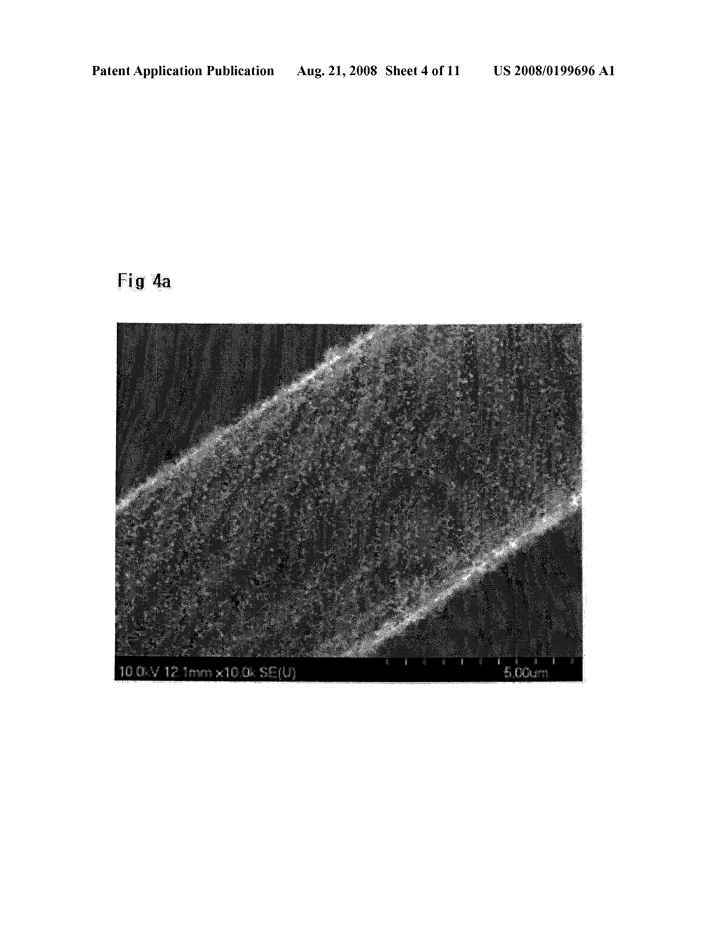 CARBON NANO TUBE ELECTRODE FORMED BY DIRECTLY GROWING CARBON NANO TUBE ON SURFACE OF CARBON PAPER AND SUPPORTING PLATINUM-BASED NANO CATALYST ON CARBON NANO TUBE USING CVD METHOD AND MANUFACTURING METHOD THEREOF - diagram, schematic, and image 05