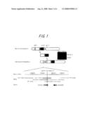 Probe for Diagnosis of Marfan Syndrome and a Method for Screening Using the Probe diagram and image