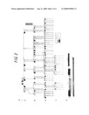 Probe for Diagnosis of Marfan Syndrome and a Method for Screening Using the Probe diagram and image