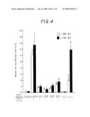 Probe for Diagnosis of Marfan Syndrome and a Method for Screening Using the Probe diagram and image