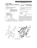 Massive parallel method for decoding DNA and RNA diagram and image