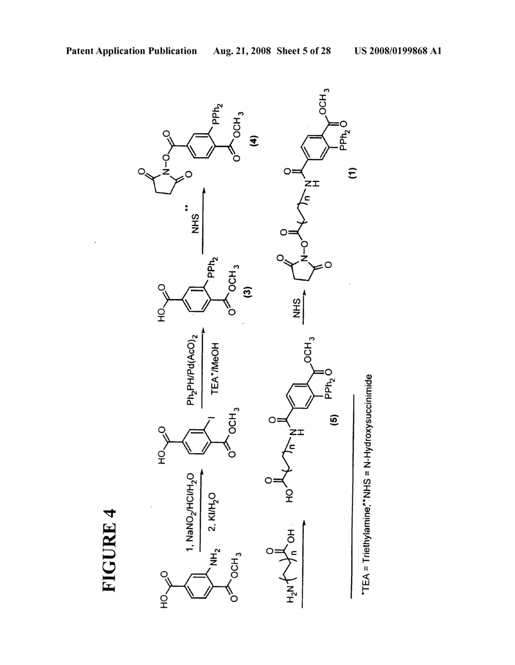 Massive parallel method for decoding DNA and RNA - diagram, schematic, and image 06