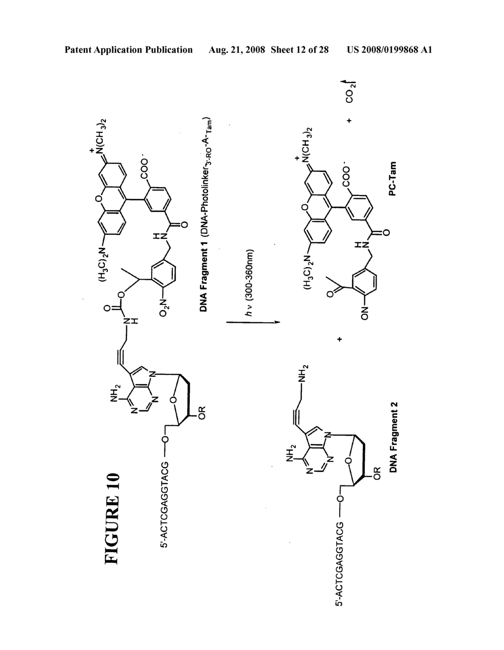 Massive parallel method for decoding DNA and RNA - diagram, schematic, and image 13