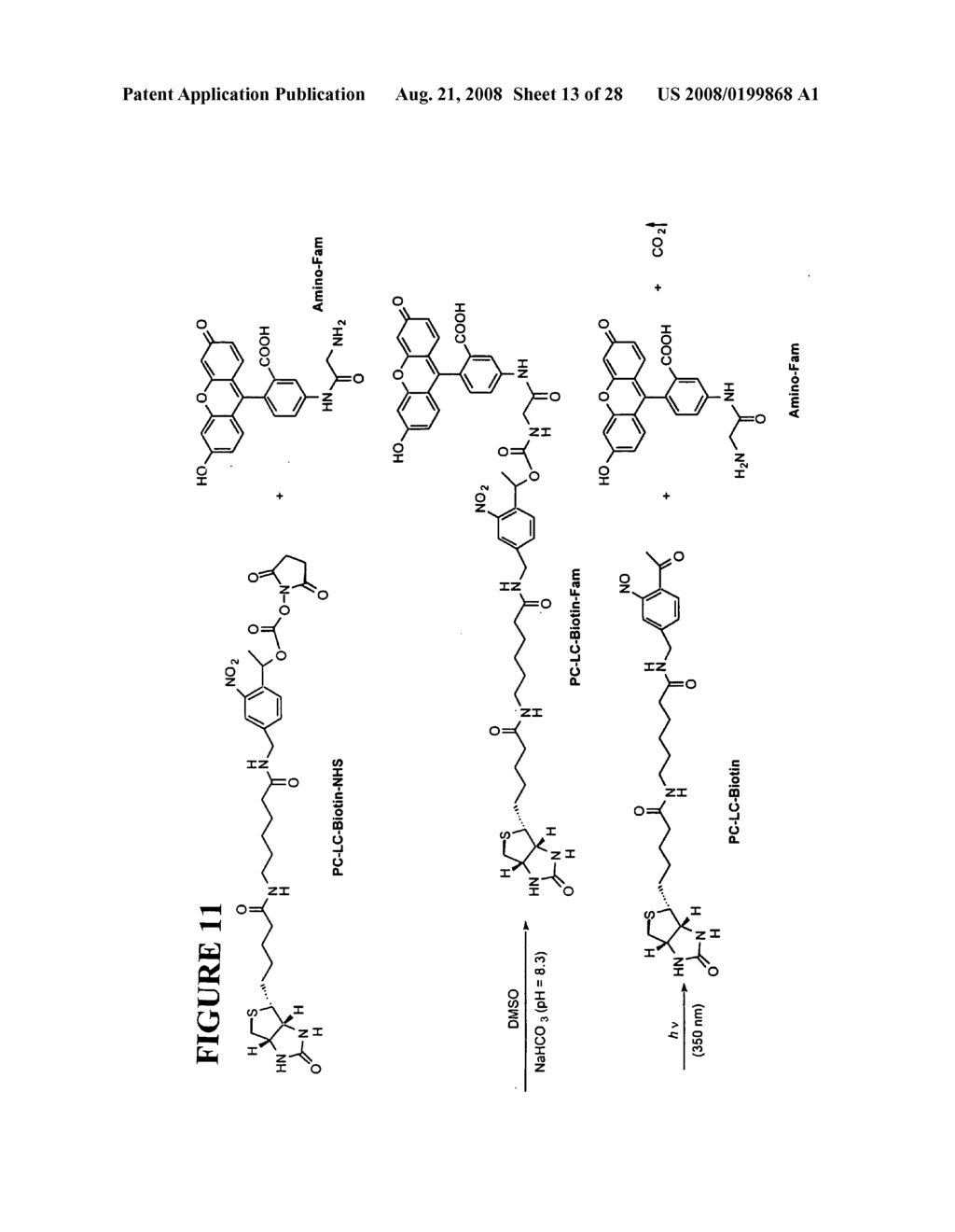 Massive parallel method for decoding DNA and RNA - diagram, schematic, and image 14