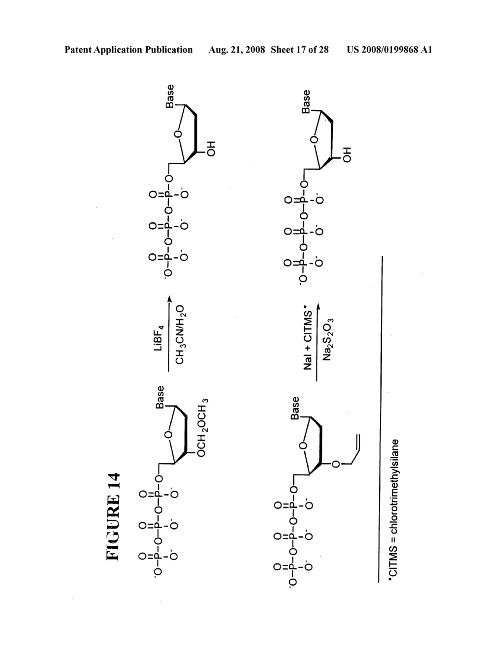 Massive parallel method for decoding DNA and RNA - diagram, schematic, and image 18