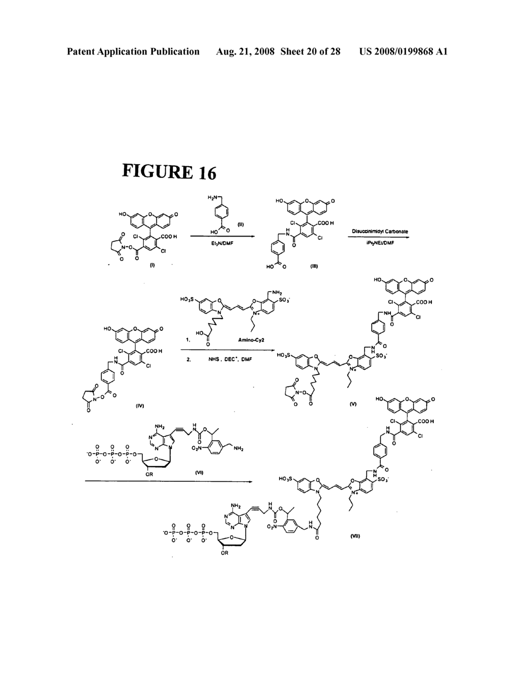 Massive parallel method for decoding DNA and RNA - diagram, schematic, and image 21