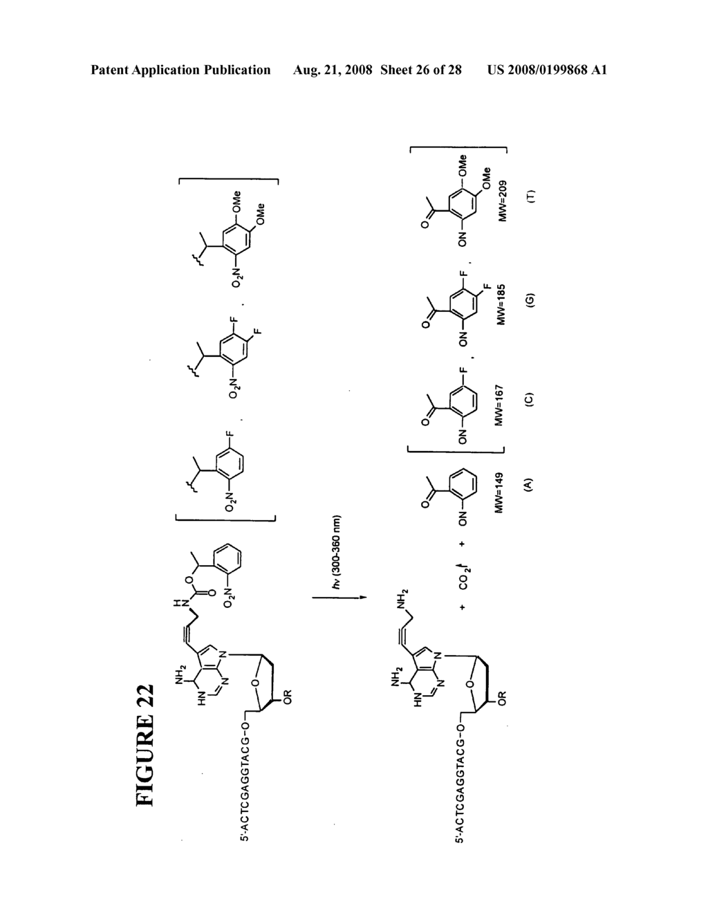 Massive parallel method for decoding DNA and RNA - diagram, schematic, and image 27