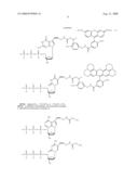 Massive parallel method for decoding DNA and RNA diagram and image