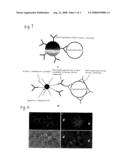 Method For Measuring Protozoan Oocyst and Detecting Reagent diagram and image