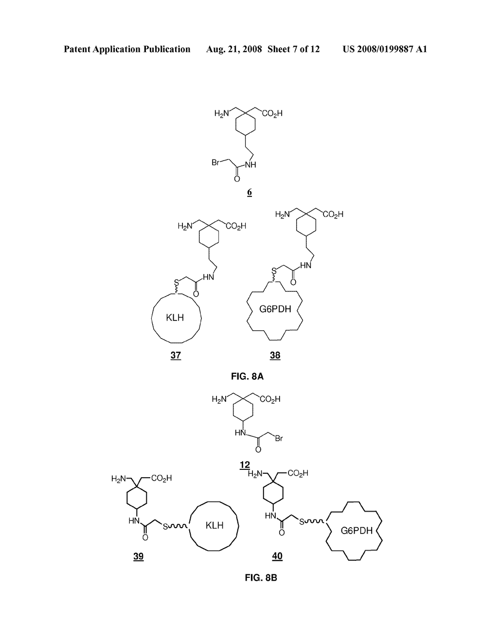COMPOUNDS AND METHODS FOR USE IN DETECTING GABAPENTIN - diagram, schematic, and image 08