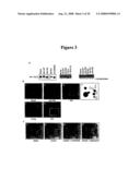 Diagnosis and Treatment of Diseases Arising from Defects in the Tuberous Sclerosis Pathway diagram and image