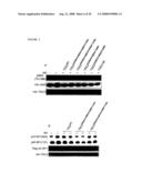 Diagnosis and Treatment of Diseases Arising from Defects in the Tuberous Sclerosis Pathway diagram and image