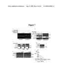 Diagnosis and Treatment of Diseases Arising from Defects in the Tuberous Sclerosis Pathway diagram and image