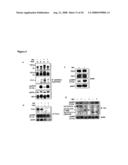 Diagnosis and Treatment of Diseases Arising from Defects in the Tuberous Sclerosis Pathway diagram and image