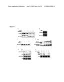 Diagnosis and Treatment of Diseases Arising from Defects in the Tuberous Sclerosis Pathway diagram and image