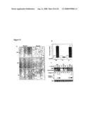 Diagnosis and Treatment of Diseases Arising from Defects in the Tuberous Sclerosis Pathway diagram and image