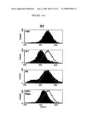 Diagnosis and Treatment of Diseases Arising from Defects in the Tuberous Sclerosis Pathway diagram and image