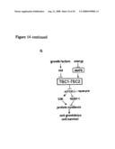 Diagnosis and Treatment of Diseases Arising from Defects in the Tuberous Sclerosis Pathway diagram and image