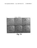 COMPOSITIONS FOR THE DETECTION OF ENZYME ACTIVITY IN BIOLOGICAL SAMPLES AND METHODS OF USE THEREOF diagram and image