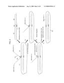 Multiplex targeted amplification using flap nuclease diagram and image