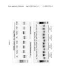 Multiplex targeted amplification using flap nuclease diagram and image