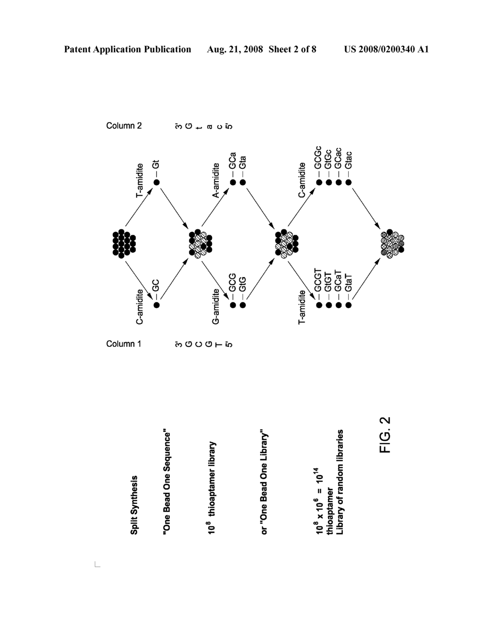 Bead Bound Combinatorial Oligonucleoside Phosphorothioate And Phosphorodithioate Aptamer Libraries - diagram, schematic, and image 03