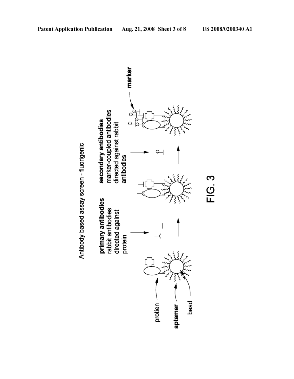 Bead Bound Combinatorial Oligonucleoside Phosphorothioate And Phosphorodithioate Aptamer Libraries - diagram, schematic, and image 04