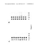 Protein chips for HPV detection diagram and image