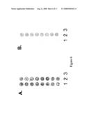 Protein chips for HPV detection diagram and image