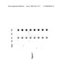 Protein chips for HPV detection diagram and image