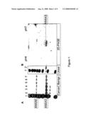 Annexin for Cancer Risk Assessment diagram and image