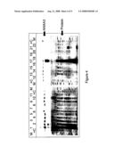 Annexin for Cancer Risk Assessment diagram and image