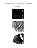 Compounds for Treating Neurologic Diseases, Otologic Diseases, or Ophthalmologic Diseases and Methods of Use Thereof diagram and image