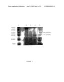 HCaRG, A Novel Calcium-Regulated Gene diagram and image