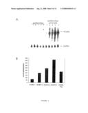 HCaRG, A Novel Calcium-Regulated Gene diagram and image