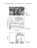 Modulation of T cell signaling threshold and T cell sensitivity to antigens diagram and image